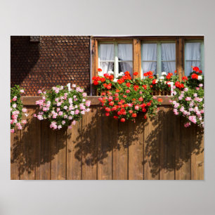 Schweizer Blumenkasten Poster