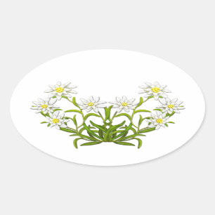 Schweizer Edelweiss Blumen-Aufkleber Ovaler Aufkleber
