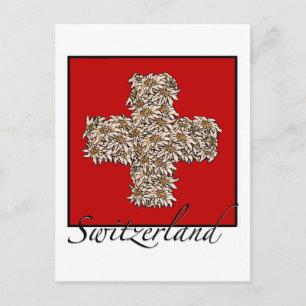 Schweizer Edelweiss Cross Postkarte