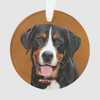 Schweizer Gebirgshund Ornament