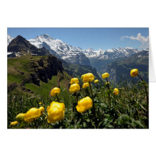 Schweizer Grußkarten, Grindelwald, gelbe Blumen