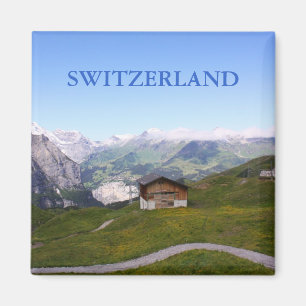 Schweizer Haus und Alpen Magnet