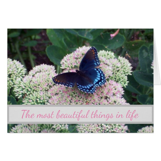 Schwellenländer mit Schmetterlingsbedrohungen (Vorderseite (Horizontal))