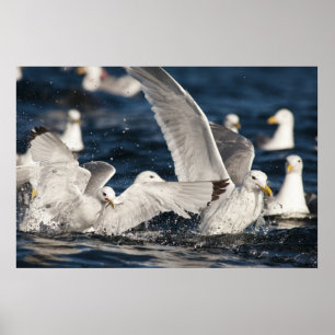 Schwellenländer Poster