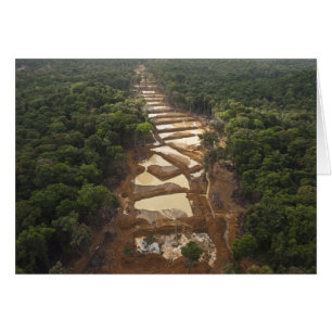 Schwemmgoldabbau. Regenwald, Guyana.