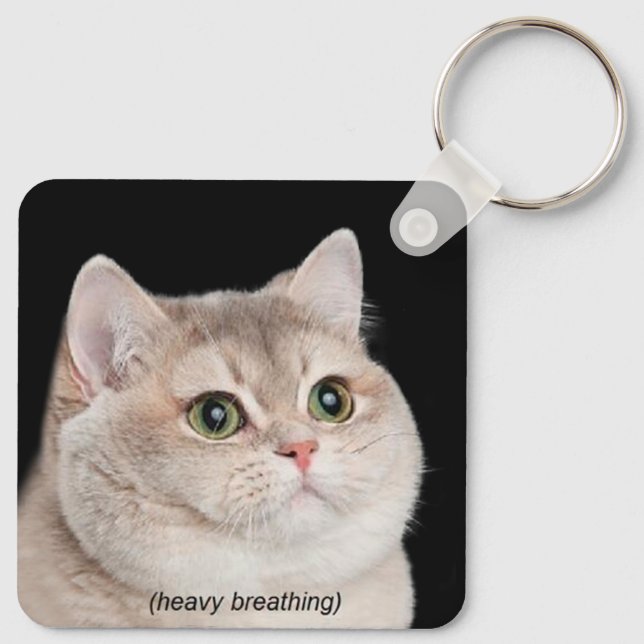 Schweratmigkeit Kat Meme Doppelseitiger Schlüssela Schlüsselanhänger (Rückseite)