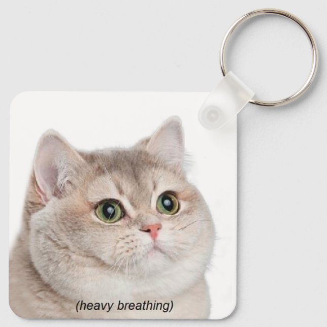 Schweratmigkeit Kat Meme Doppelseitiger Schlüssela Schlüsselanhänger (Rückseite)