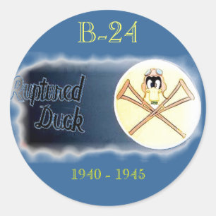 SCHWERER BOMBER des BEFREIER-B-24 verschieden. Runder Aufkleber
