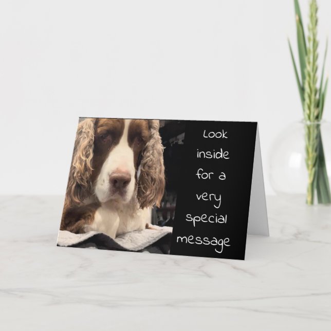 SCHWERER HUND SAGT "SIEHE INSIDE" BIRTHDAY WISHES KARTE (Vorderseite)