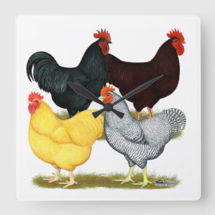Schweres Hahn-Huhn-Quartett Quadratische Wanduhr