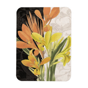 Schwerpunkt I Magnet