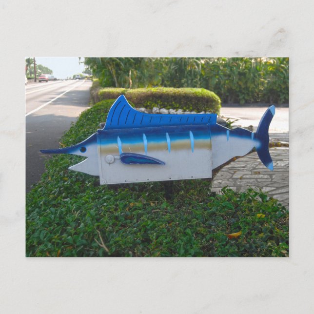 Schwertfisch-Postfach auf der Insel Hawaii Postkarte (Vorderseite)