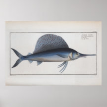 Schwertfisch Zeichnend Retro Vintag