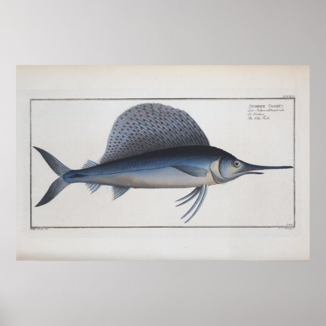 Schwertfisch Zeichnend Retro Vintag Poster (Vorne)