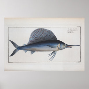 Schwertfisch-Zeichnung Retro Vintage Poster