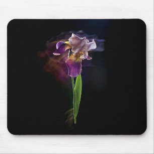 Schwertlilie auf schwarzem Hintergrund. Lange Beli Mousepad