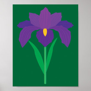 Schwertlilie Poster