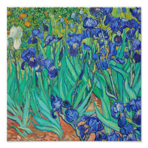 Schwertlilien (1889) von Vincent Van Gogh. Fotodruck