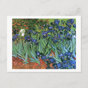 Schwertlilien (F608) Van Gogh Fine Art Postkarte