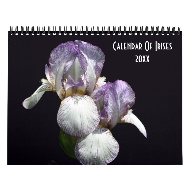 Schwertlilien-Fotografie  Kalender (Titelbild)