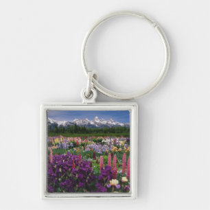 Schwertlilien- und Lupinengarten und Teton Range, Schlüsselanhänger