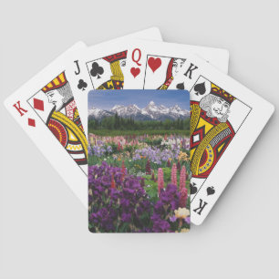 Schwertlilien- und Lupinengarten und Teton Range, Spielkarten
