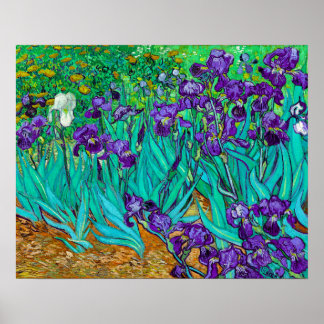Schwertlilien, Vincent van Gogh Poster