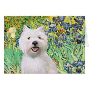 Schwertlilien - Westie 2