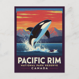 Schwertwal Durchbricht die Oberfläche im Pacific R Postkarte