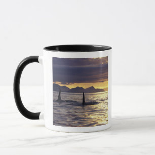 Schwertwal oder Mörderwal Tasse