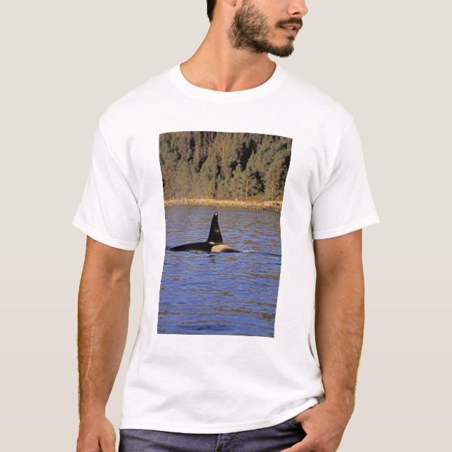 Schwertwal oder Orca. T-Shirt (Vorderseite)