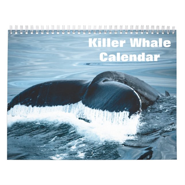 Schwertwal Orcas 2026 Kalender (Titelbild)