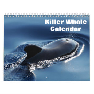 Schwertwal Orcas 2027 Kalender