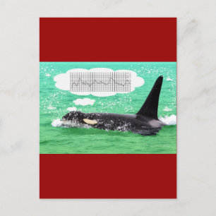 Schwertwal-Wal-Weihnachtsgrünes Seefrohe Feiertagspostkarte