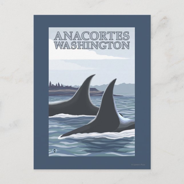 Schwertwal-Wale #1 - Anacortes, Washington Postkarte (Vorderseite)