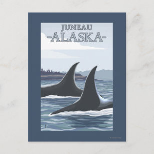 Schwertwal-Wale #1 - Juneau, Alaska Postkarte