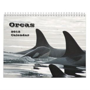 Schwertwale ~ 2012 Kalender