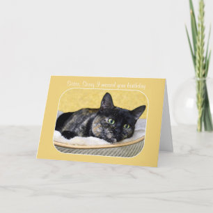 Schwester, belated Birthday Tortoiseshell Cat Karte