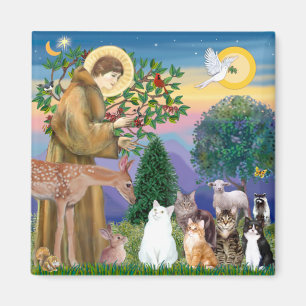 Schwester Frances segnet 5 Katzen Magnet