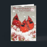 Schwester, Öl malte rote Kardinäle in der Feiertagskarte<br><div class="desc">Öl drei malte rote Kardinäle auf einer schneebedeckten Niederlassung voll von den Beeren</div>