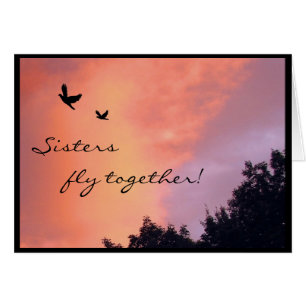 Schwester-Tauben am Sonnenuntergang