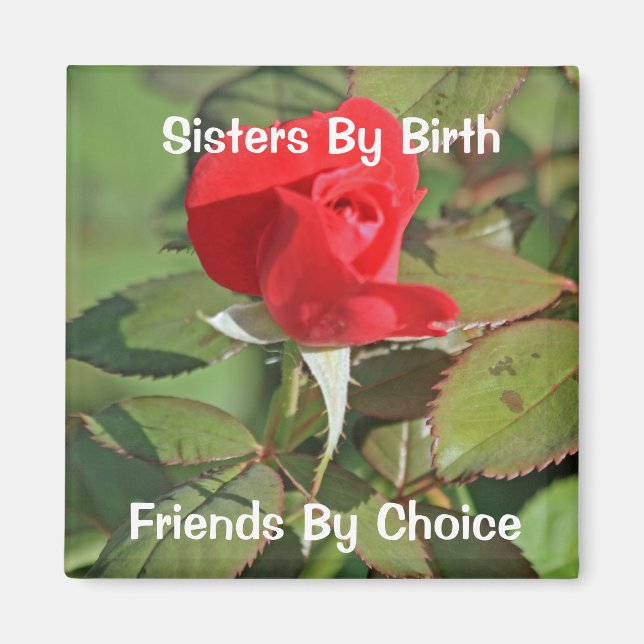 Schwestern Magnet (Vorne)