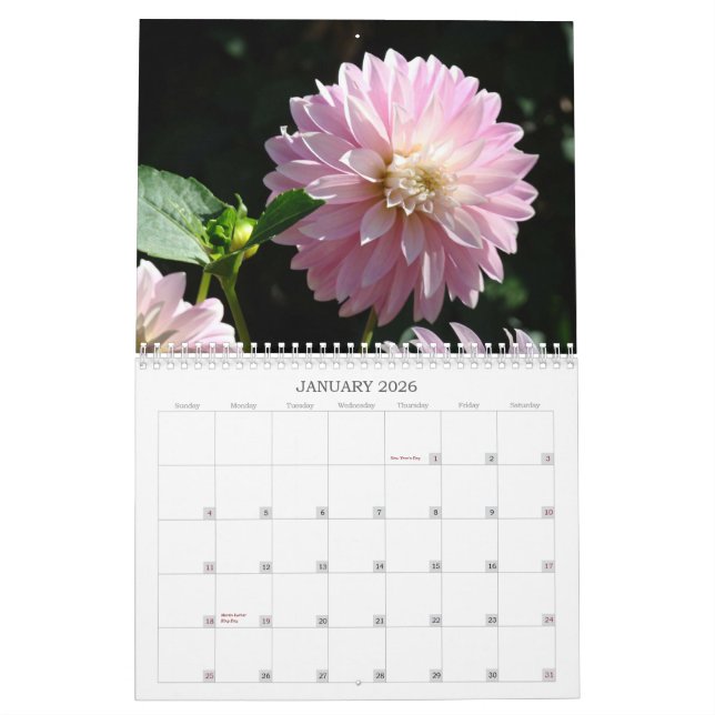 Schwestern sind Forever! Kalender-Geschenke für Kalender (Jan 2026)