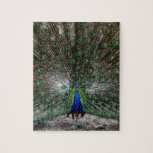 Schwieriger Puzzlespielgeschenkpfau versieht