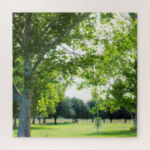 Schwieriges Disk Golf Puzzle