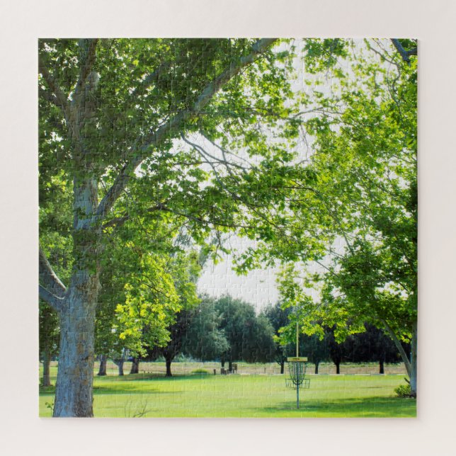 Schwieriges Disk Golf Puzzle (Vertikal)