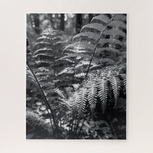 Schwieriges Monochrome Naturfotografie