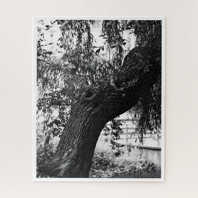 Schwieriges Monochrome Naturfotografie (Vertikal)