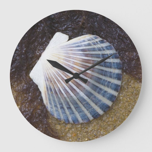 Schwimmbecken Große Wanduhr (Vorderseite)