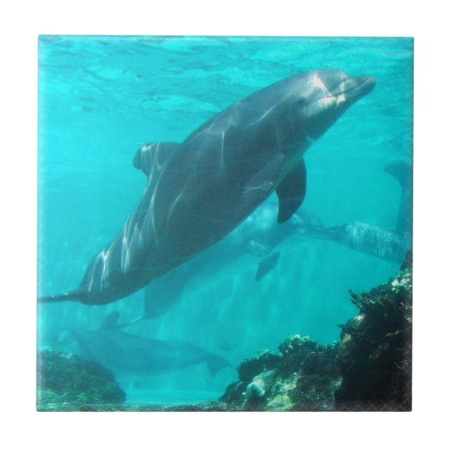 Schwimmen-Delphin-Fliese Fliese (Vorderseite)